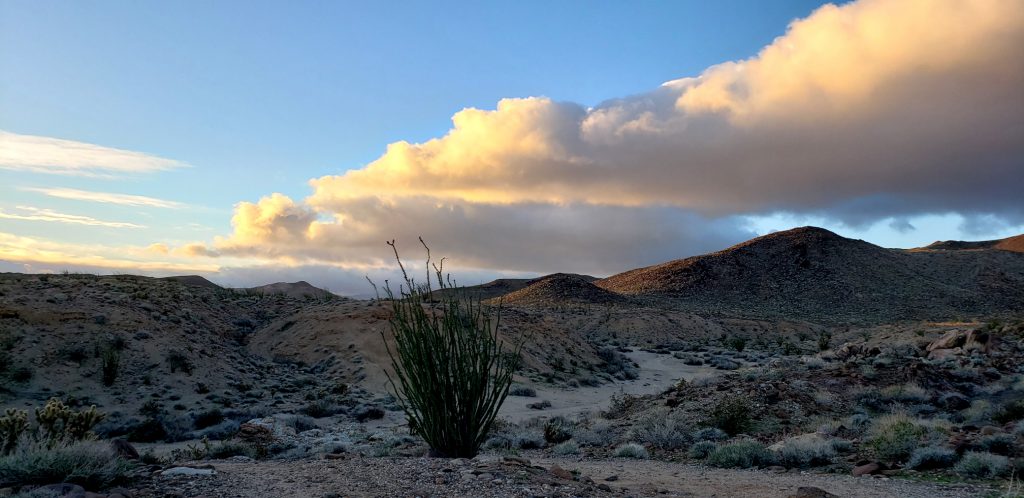 Clouds in Jojoba Wash