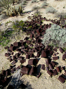 Discarded cans at the railroad construction site - Anza Borrego