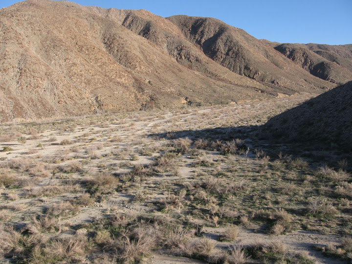 Carrizo Gorge