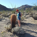 Mary looking for Barrel cactus blooms - Anza Borrego