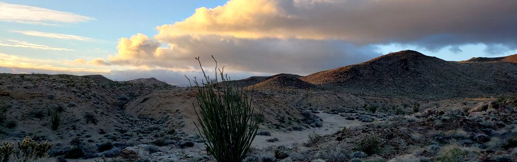 Super Moon and Super Bloom