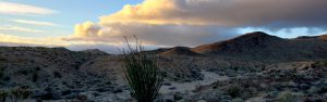 Coastal clouds blow into the Anza Borrego Desert